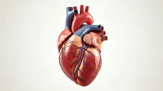 10 Simple Tips for a Longer Life: A Cardiologist's Advice