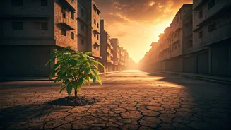 India's cities turn into heat islands
