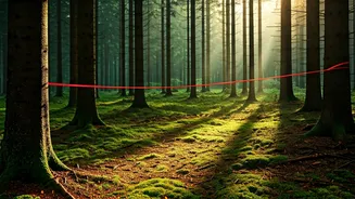 Why slacklining is a great workout