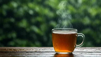 Rainy Days Feel Better With This Traditional Kadha