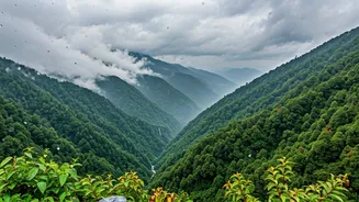 Plan A Peaceful Monsoon Escape To Sikkim