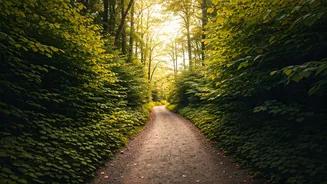 Tim Cook's Wisdom: Find Joy in the Journey, Not Just the Destination