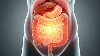 Related Stories banner