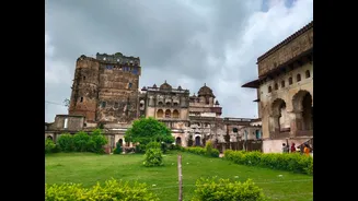 Rain Alert Issued for 15 Districts in Madhya Pradesh During Dussehra
