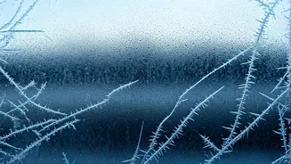 9 Protective Traits: Decoding 'Cold' People