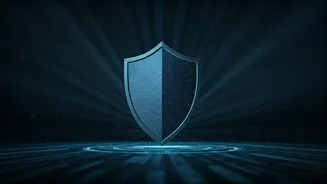 Unveiling the Shield: How Websites Ensure Your Online Safety