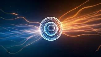 Your Body's 48-Hour Water Fast Journey: Energy Shifts & Who Should Steer Clear