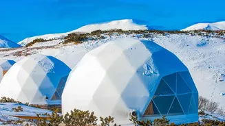 Changes in the Jet Stream Can Hold Heat Domes Over Cities