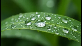 Heavy Rain Can Make Hygiene Non-Negotiable