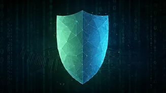 Fortifying Your Online Presence: Understanding Security Checks and Verification