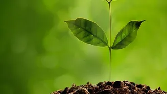 Everyday Saving And Investing Habits Take Centre Stage In Wealth Building: The Most Important Facts