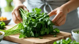 Keep coriander fresh and aromatic for weeks with these easy kitchen hacks