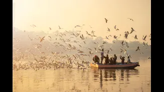 Delhi Ferry Project Faces Delay Due to Falling Yamuna Water Levels