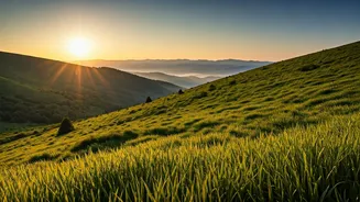 The Hills Are Officially In Shimla Festival Mode