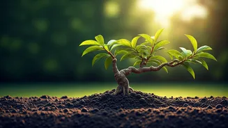 Cultivating Inner Strength: Mastering Adaptability for a Resilient Child