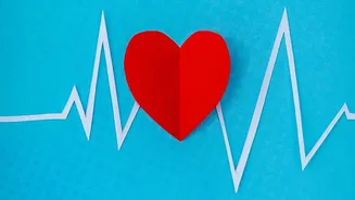 How Simple Vagus Nerve Exercises Lower Cortisol And Heart Rate In Minutes