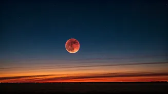 Related Stories banner