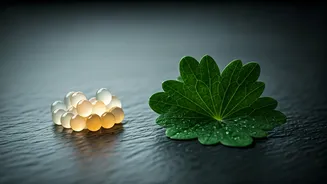 Indian Skincare Is Falling For Korean Ingredient Innovation