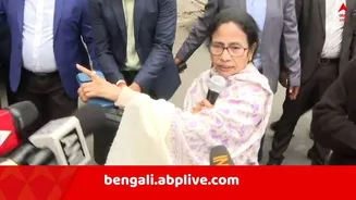 Mamata On Migrant Death: পুনেতে কর্মরত "পরিবারের একমাত্র উপার্জনকারী" বঙ্গসন্তানের দেহ উদ্ধার ! কড়া প্রতিক্রিয়া মুখ্যমন্ত্রীর, এক্স হ্যান্ডেলে কী ...