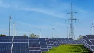 India's Agrivoltaics Push Connects Crop Shade with Water Use