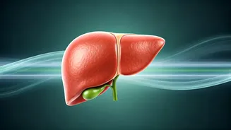 Can Exercise Help Fatty Liver Disease?