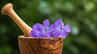 Unlocking Hair Growth: The Power of Sadabahar Flowers