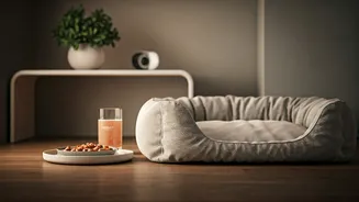 Luxury Pet Boarding Trends Across Major Tech Cities