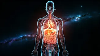 Unveiling Your Zodiac's Hidden Talents