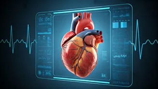 Related Stories banner