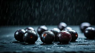 Jamun Is The Monsoon Star Everyone Loves