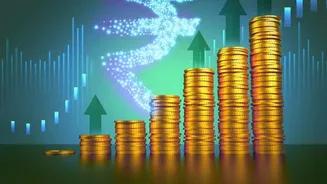 From First Savings To First Investment: What Comes Next