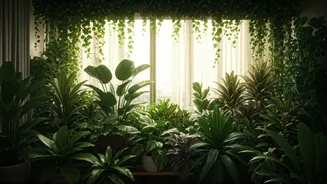 India’s Urban Jungle Movement Expands