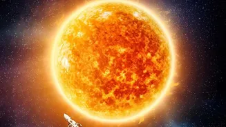 What The Newly Seen Solar Plasma Wave Shows About Solar Wave Behaviour