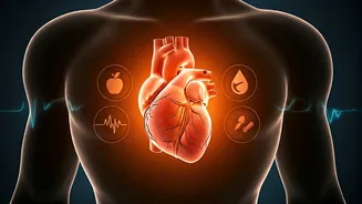 UK Surgeon's 6 Habits for Better Cholesterol & Enhanced Medication Efficacy