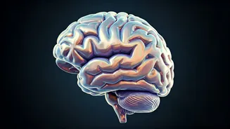 Unveiling Early Dementia Signs: What You Need to Know