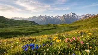 Enjoy Hiking In Austria With Alpine Flower Meadows You Will Love