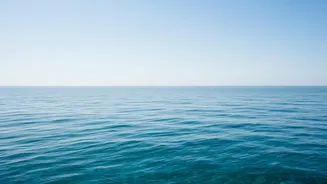 The Science Behind July's Record Global Sea Heat: Persistent Marine Heat