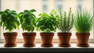 5 Beginner-Friendly Herbs to Effortlessly Grow at Home for Flavorful Meals