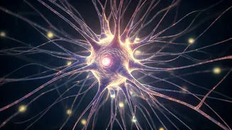 The Spread of Fear: Is It Catching?