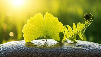 Hanuman Jayanti 2025-2026: 60+ Wishes, Messages, and Quotes to Share