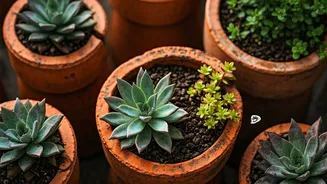 Revamp Your Garden: Creative Ways to Repurpose Old Clay Roof Tiles into Charming Plant Pots