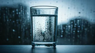 Rainy Days Don't Mean You Can Skip Water