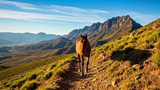Explore Lesotho's Highlands on Horseback