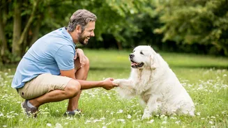 Cães obedecem melhor quando os tutores estão felizes; entenda