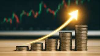 Top Performing Mid Caps: Investment Insights