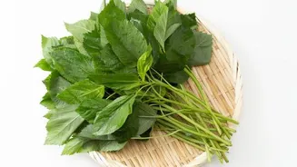 Try these healthy soups using jute mallow