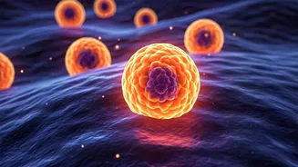 Unlocking Weight Loss: Fat Cells as Energy Burners - The New Frontier