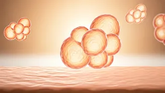 Collagen Boost: Nutritionist's Secret Revealed!