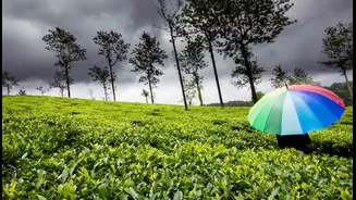 Monsoon Magic: Must-Visit Scenic Spots in India