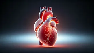 Bhumi Pednekar's Health-First Shift: Embracing Well-being Over Role-Driven Weight Changes